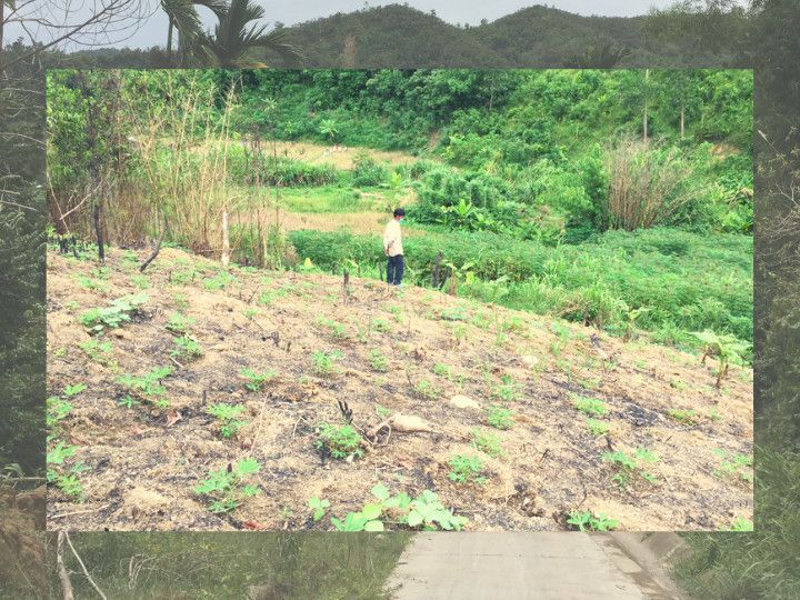 Mô hình nông nghiệp gia đình anh A Khun làng Tu Thôn