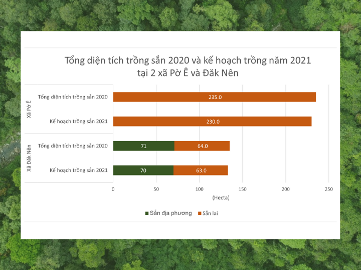 Diện tích trồng sắn năm 2020 và kế hoạch năm 2021 của 02 xã Pờ Ê và Đăk Nên 
