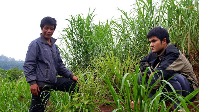 anh A Thắp tiêu đề.png